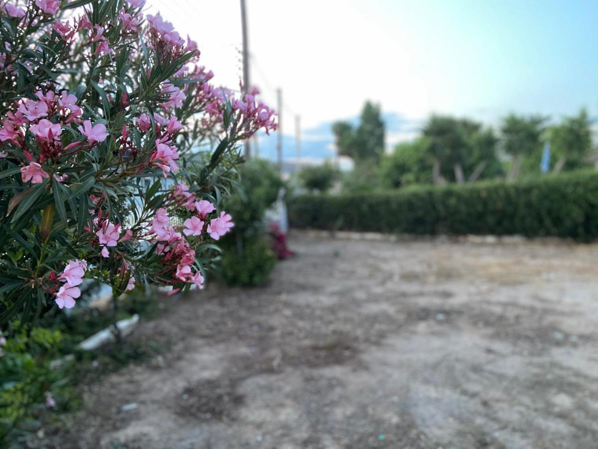 Athens Riviera: 2 Bed / 3' Walk From The Beach Agia Marina  エクステリア 写真